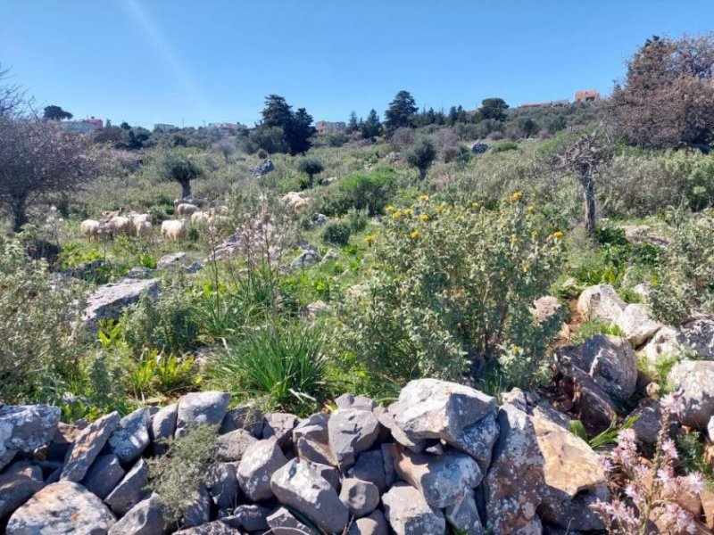 Kefalas Chania Kreta, Kefalas Chania: Atemberaubendes Grundstück mit Meerblick zum Verkauf Grundstück kaufen